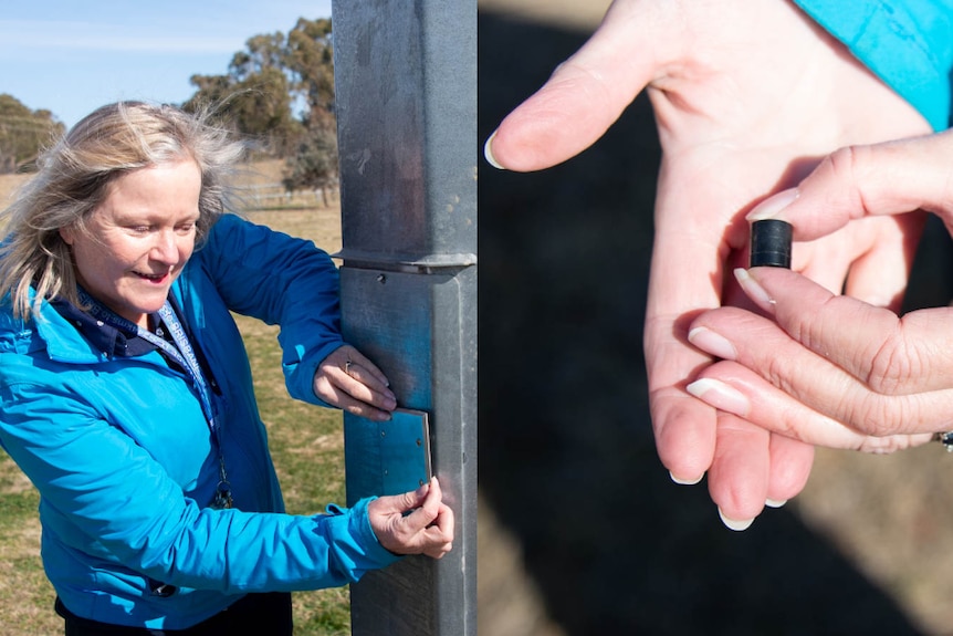 Lady showing geocaches