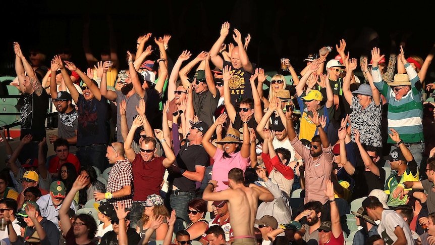 Fans do a Mexican wave at the fourth ODI between South Africa and Australia