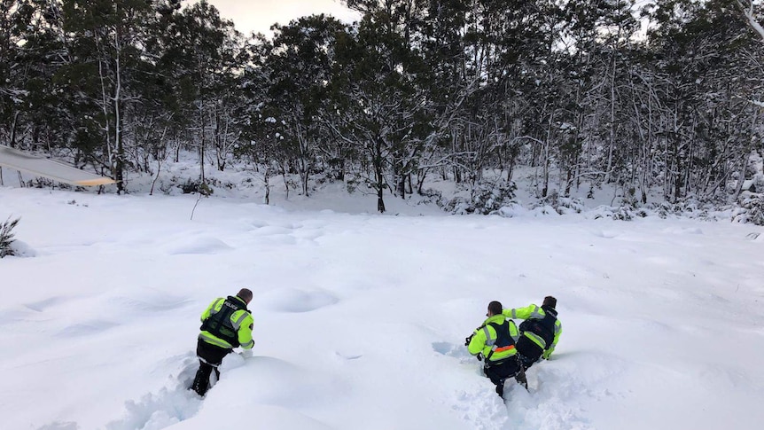 Police rescue team walks through snow in Lake St Clair area