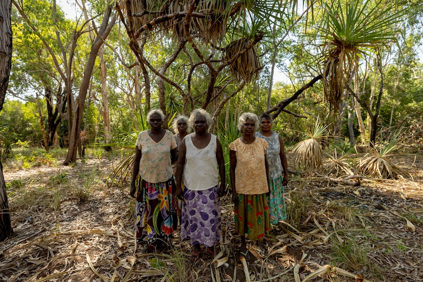 Five Burarra women in shirts and long skirts stand huddled together in a tropical bushland area.