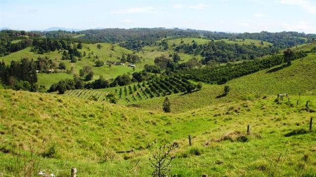 North Lismore Plateau