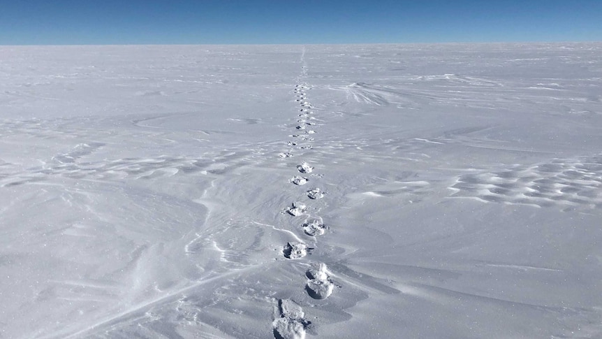 Footprints in the snow in Antarctica