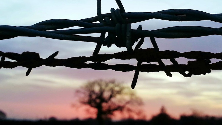 close up of barbed wire in front of dusk landscape with barren tree and dirt mounds