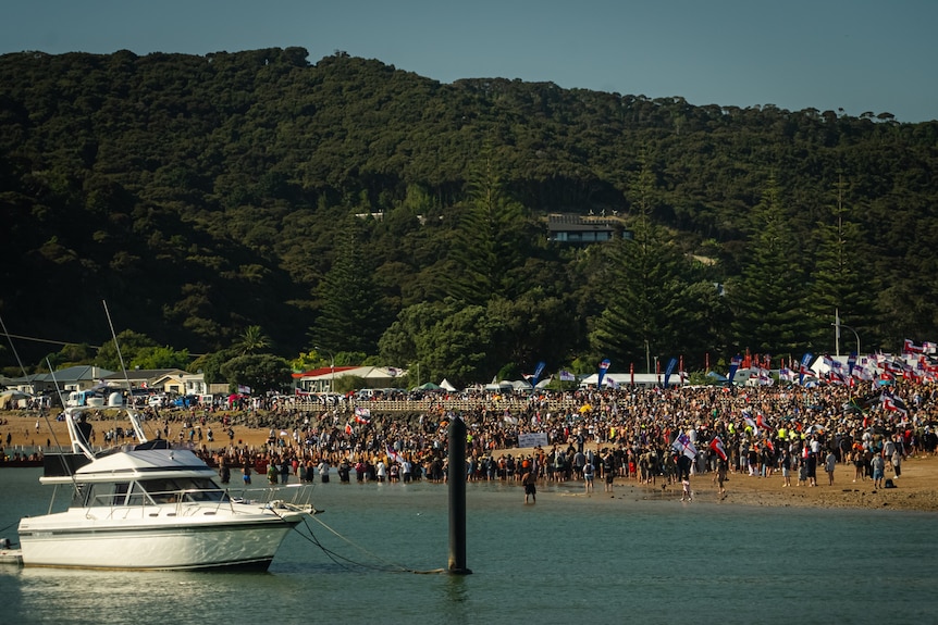 A large crowd of people are seen on the shore, from the ocean. In the foreground a boat is docked