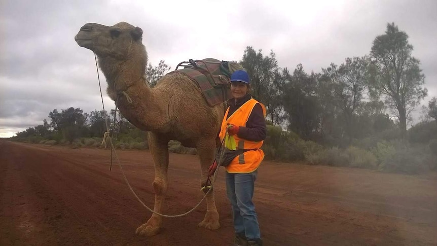 Image of Warri the camel and explorer Vicki Warburton on an isolated country road.