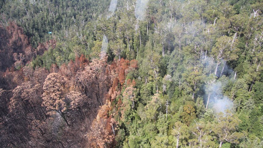 A helicopter view of bushfire zone
