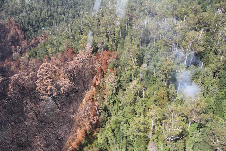A helicopter view of bushfire zone
