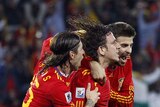 On top of the world: European champion Spain has never before reached a World Cup final.