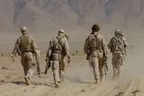 Afghan translators who provided support for Australian troops in Afghanistan are being resettled in the Hunter Valley.
