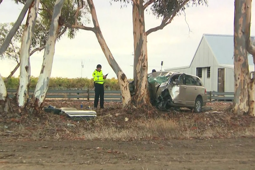 A police officer in a high-vis top standing next to a car which is crumped at the front and next to a tree