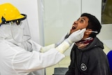 A medical professional conducting a swab test.