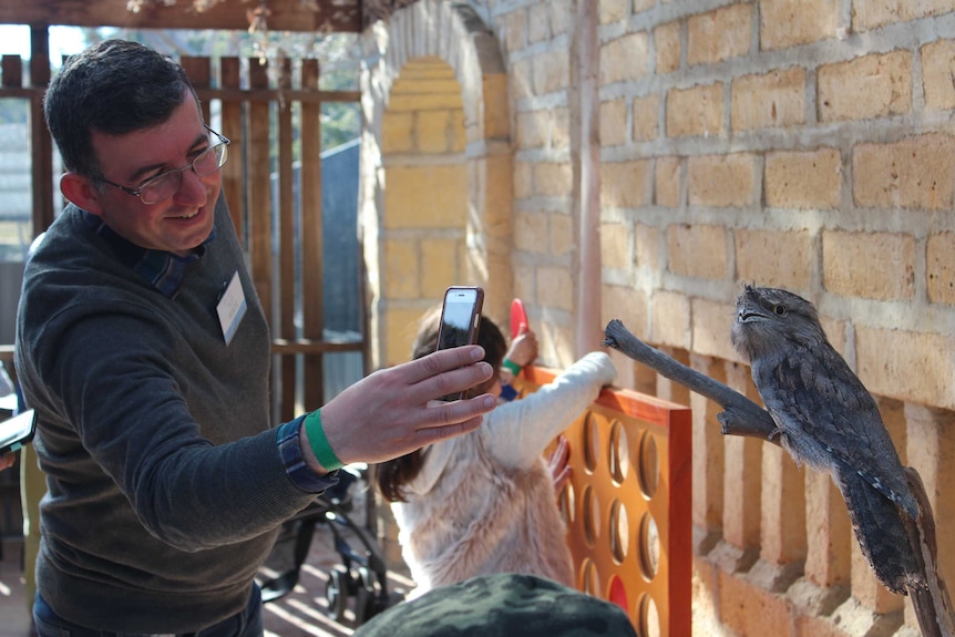 A man uses his mobile phone to take a photo of a tawny frogmouth owl inside a bird enclosure