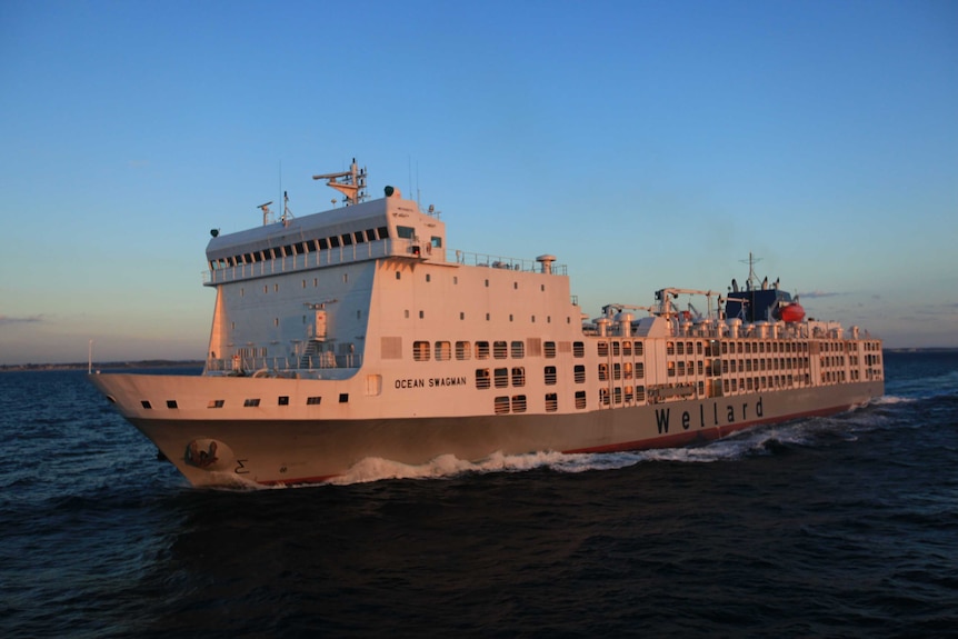 A shot of a live export ship sailing through the ocean at either dusk or dawn.