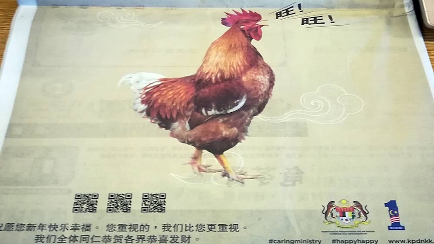 A rooster is shown in a newspaper ad barking in Chinese.