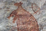 A photo of an Aboriginal rock painting of a kangaroo located in the northwest Kimberley.