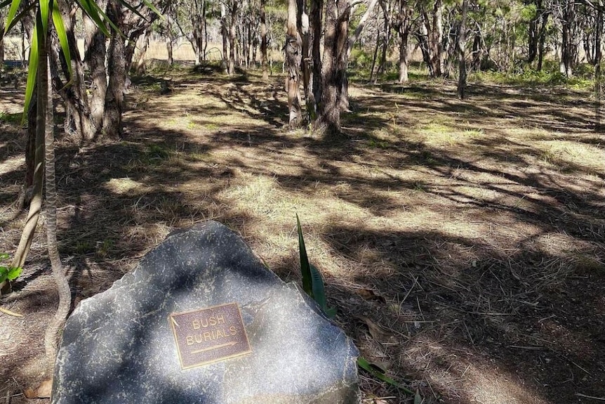 Un site de sépulture naturel sous les arbres.