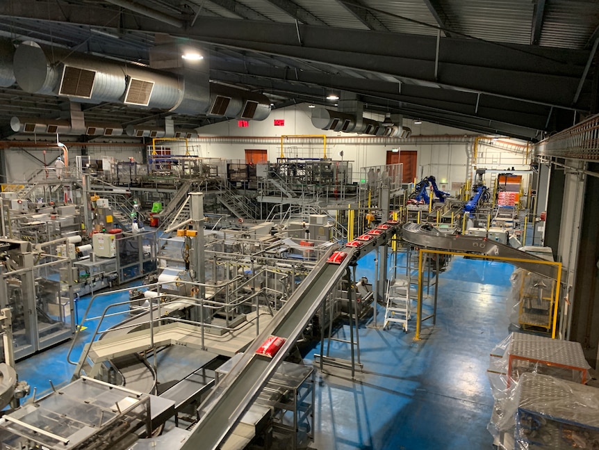 A conveyor belt with bags of rice on it in a large factory room. 