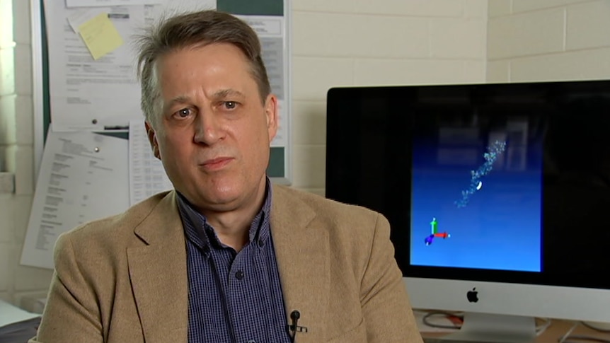 Professor Nikolai Petrovsky sitting in front of a computer