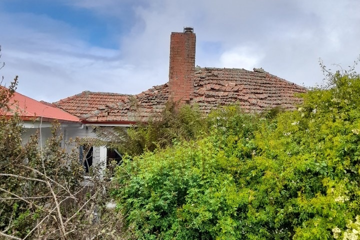 A red-tilled roof with tiles all askew with bushy trees growing in front of the house.