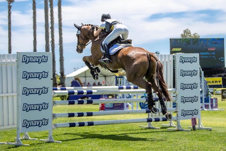 A teenage girl rides a horse jumping a barrier