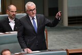 Andrew Wilkie raises his arm during Parliament House Question Time.