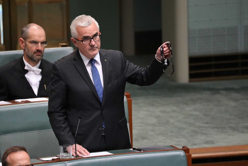 Andrew Wilkie raises his arm during Parliament House Question Time.