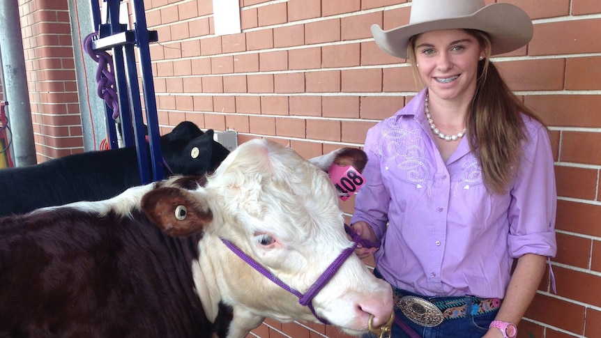 A high school student with a steer ready for judging at the Sydney Royal Easter Show