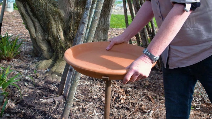 Hands placing a terracotta bowl onto a metal stand in a garden