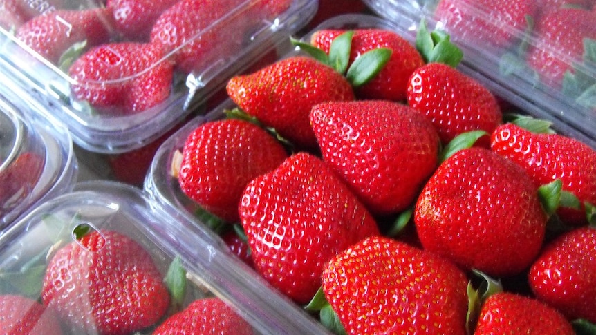 Punnets of strawberries