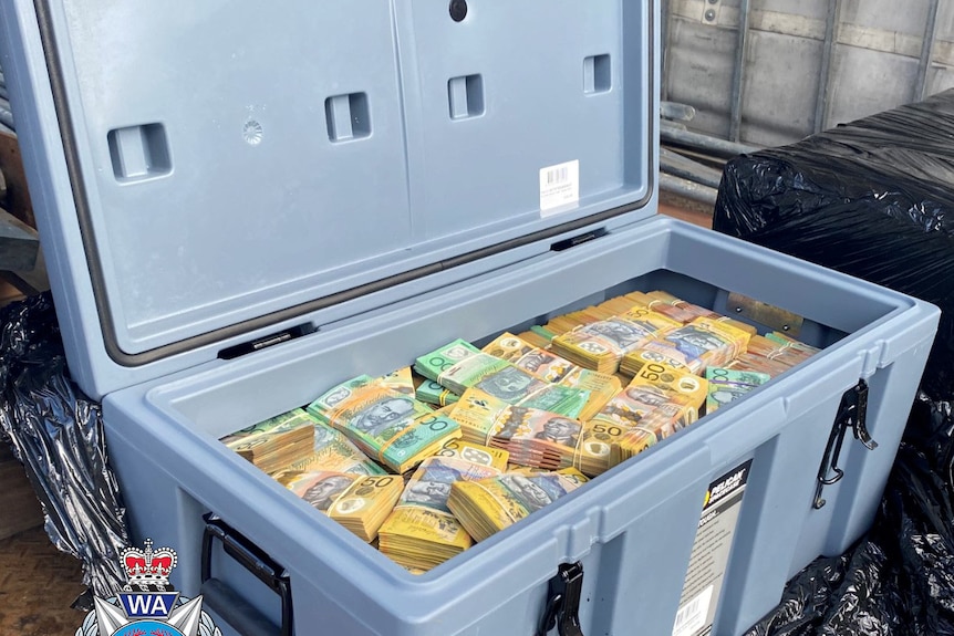 A large esky filled with bundles of $50 and $100 notes.