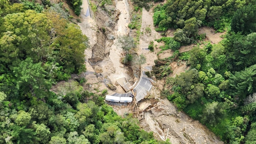 A view from above of floodwaters between trees. 