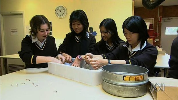 Teenage girl students stand with hands in a square container