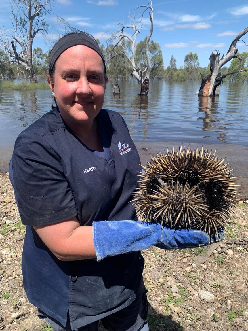A woman holding an echidna in front of the River Murray. 
