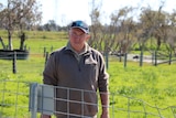Fifth generation dairy farmer Graham Manning has dumped milk after being unable to secure contracts.