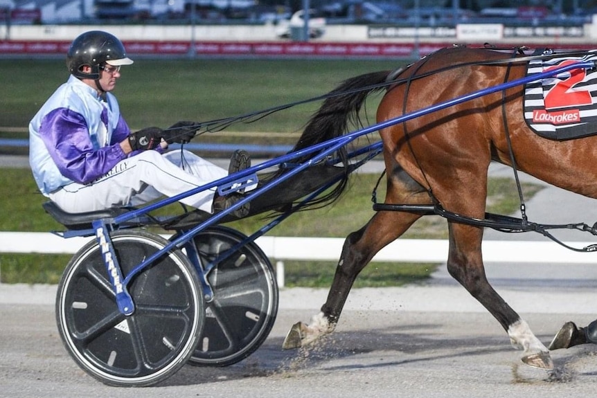 Man driving a horse at a harness race.