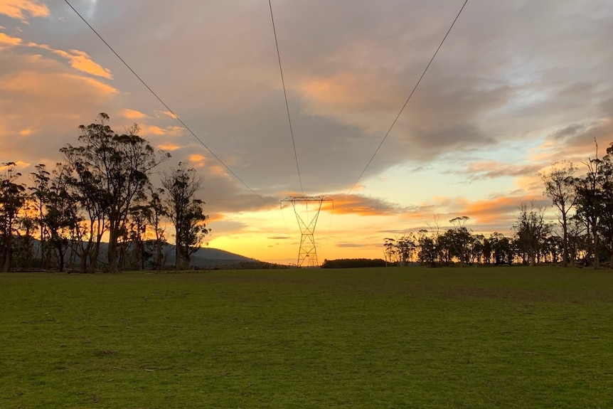 A three strand power line runs towards the horizon in a green paddock, the sun is setting. 