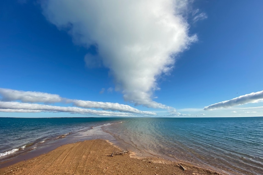 Tours d'eau à un banc de sable.