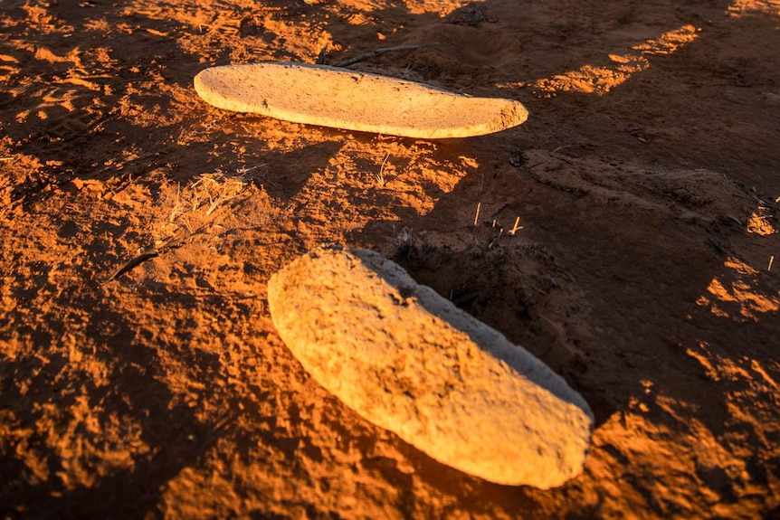 Two grinding stones sit next to each other.