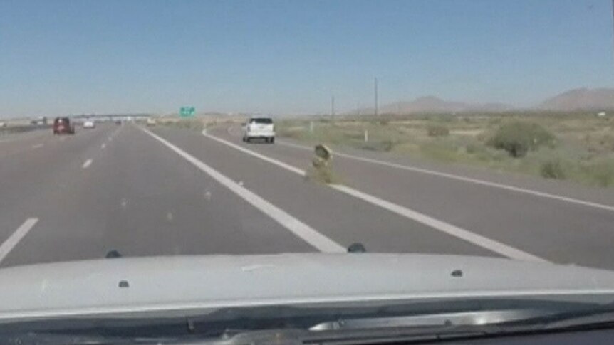 Bales of marijuana hurled from vehicle in Arizona police chase