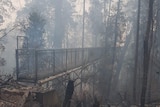 Charred trees and earth surround the a blackened steel walkway