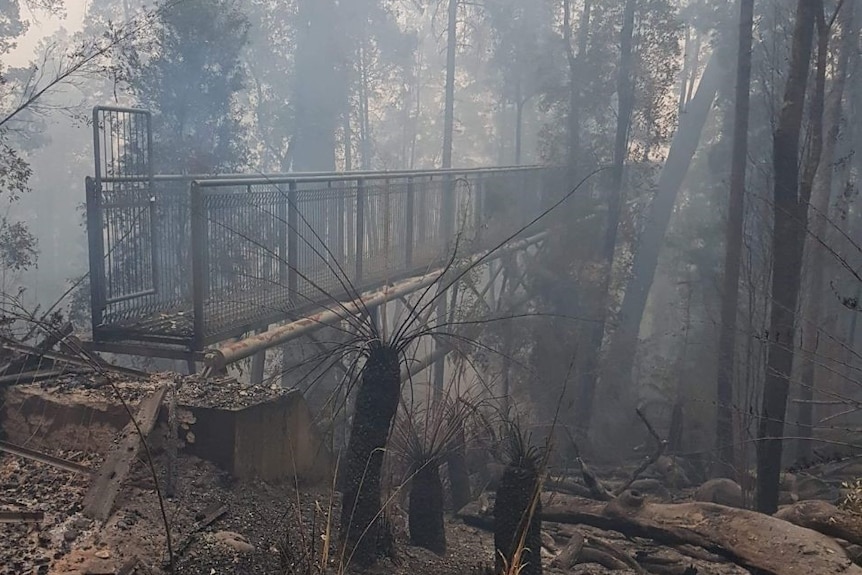 Charred trees and earth surround the a blackened steel walkway