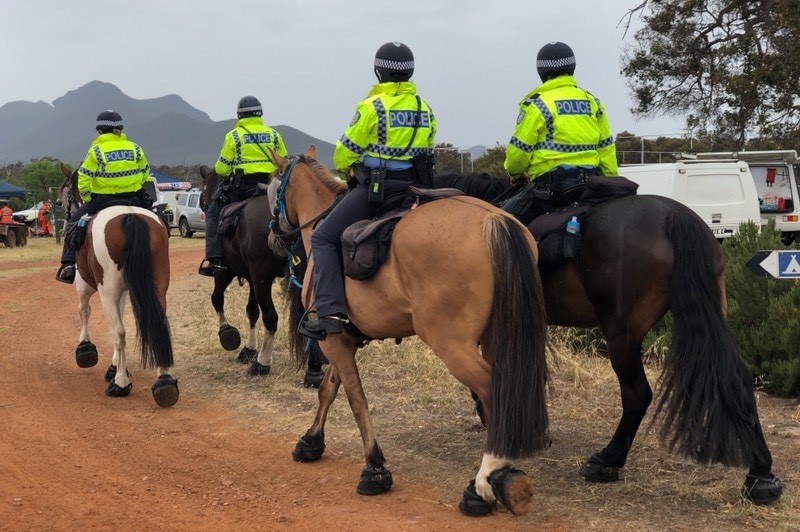 Four police officers riding away on large horses.