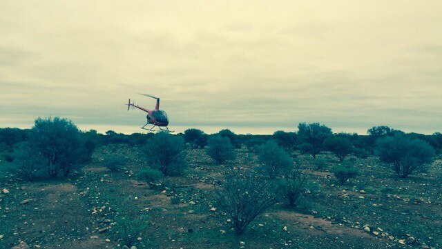 A helicopter flies low in the search for missing prospecting couple near Sandstone