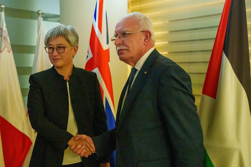 A medium shot of a man and a woman, both in suits and glasses, smiling slightly and shaking hands