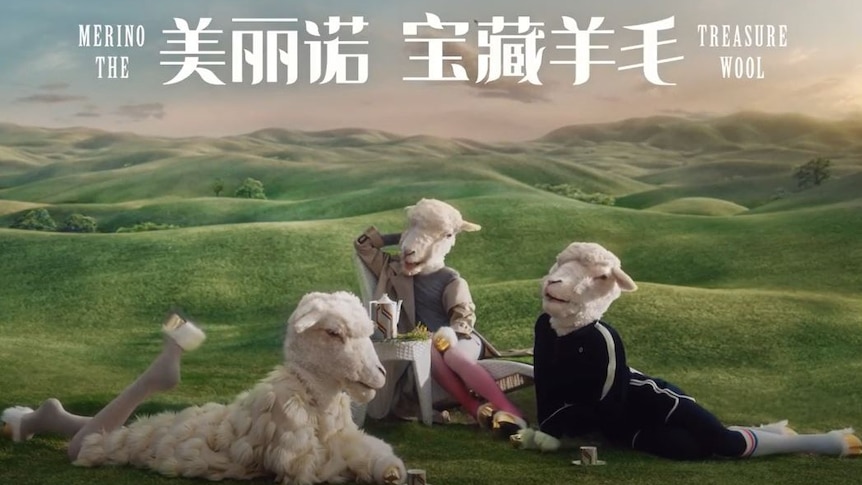 Three people dressed as sheep wearing wool and sheep heading at a picnic with green hills in behind.