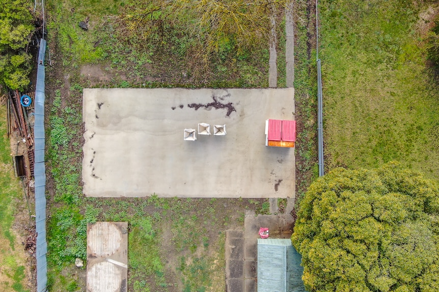 A concrete slab with a red-lid skip bin on it, surrounded by green grass and trees.