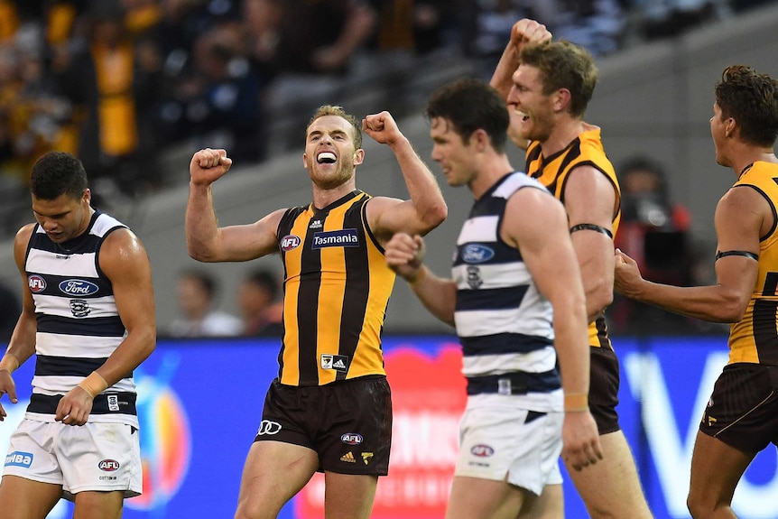 Tom Mitchell and his Hawks teammates raise their arms in the air after beating Geelong.