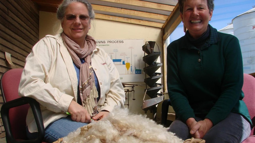 Lisa Westervelt and Anne Heazlewood, breeding English Leicester sheep