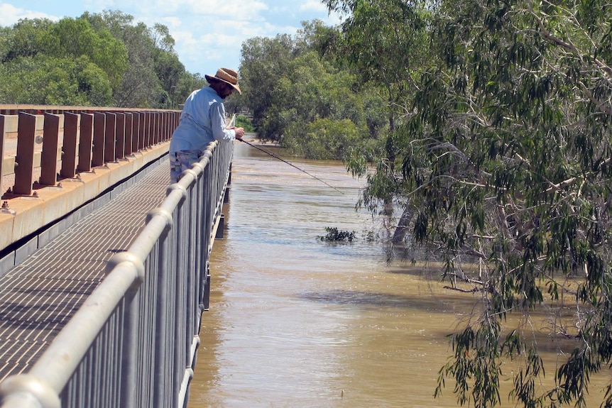 A man fishing on a bridge on the Fitzroy River, surrounded by trees.