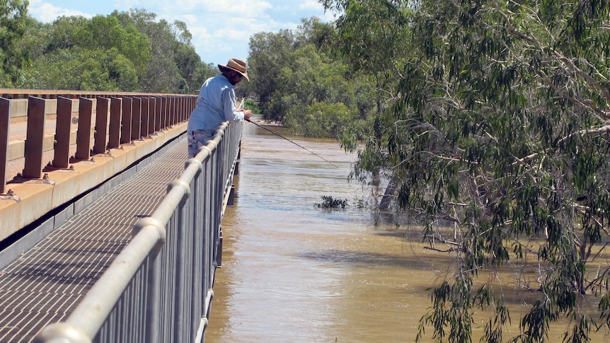 A man fishing on a bridge on the Fitzroy River, surrounded by trees.